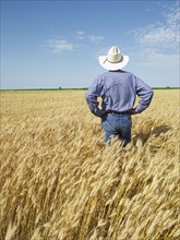 Farmer standing in wheat field. Photo. John Kelly