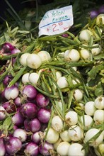 Onions at farmer's market. Photo : Antonio M. Rosario
