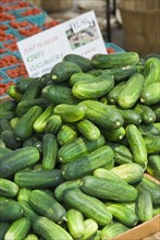 Cucumber display at farmer's market. Photo. Antonio M. Rosario