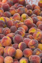Peaches at farmer's market. Photo : Antonio M. Rosario