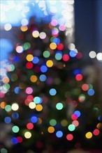 Christmas lights. Photo. Antonio M. Rosario