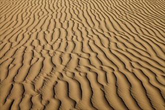 Sand dune. Photo : Mike Kemp