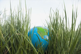 Globe in grass. Photo : Mike Kemp