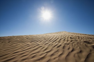 Sunny desert. Photo : Mike Kemp
