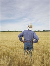 Farmer standing in wheat field. Photo. John Kelly