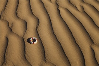 Lifebuoy in desert. Photo. Mike Kemp