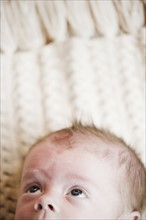 Baby's head. Photo. Jamie Grill
