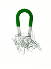 Magnet and paper clips. Photo. David Arky
