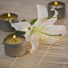 Tea lights and white lily on bamboo mat. Photo. Daniel Grill