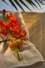 Gladioli flowers on towel. Photo. Daniel Grill