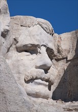 Head of Roosevelt on Mount Rushmore.