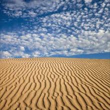 Wave pattern in desert sand. Photo : Mike Kemp