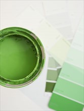 Green paint and paint swatches. Photo : Jamie Grill