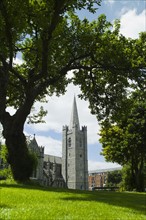 Lawn in front of Saint Patrick's Cathedral.