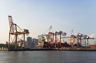 Container cranes. Photo : fotog