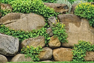 Garden wall. Photo. Antonio M. Rosario