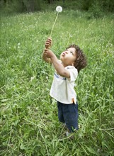 Cute young child holding dandelion. Photo. Shawn O'Connor
