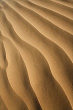 Sand in desert. Photo. Mike Kemp