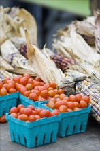 Grape tomatoes and corn gourds at farmer's market. Photo : Antonio M. Rosario