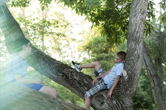 Two boys sitting in a tree. Photo. Tim Pannell