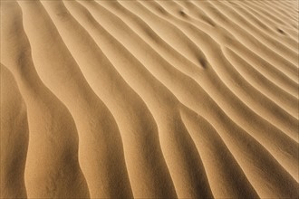Sand in desert. Photo. Mike Kemp