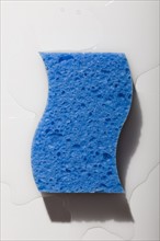Blue sponge. Photo : David Engelhardt