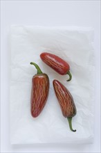 Three spicy fresno peppers. Photo. David Engelhardt