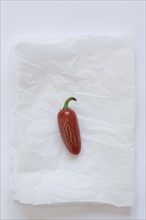 Fresno pepper on parchment paper. Photo : David Engelhardt
