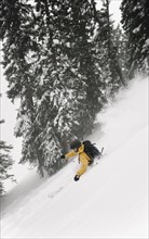Alpine skier. Photo : John Kelly
