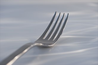 Fork. Photo. Daniel Grill