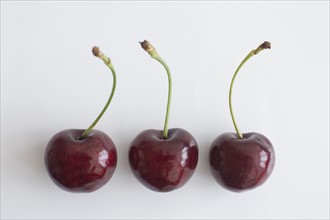 Three ripe cherries. Photo : David Engelhardt