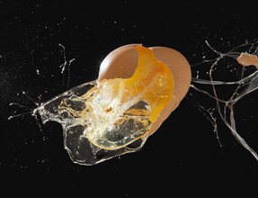 Egg exploding. Photo : Mike Kemp