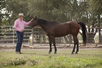 Senior man with horse in ranch. Photo : Mike Kemp