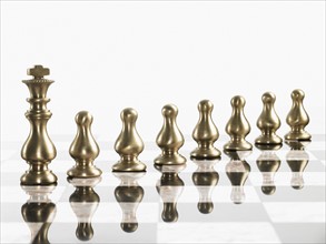 King with pawn chess pieces on board. Photo : David Arky