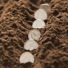 Row of American coins in soil. Photo : Mike Kemp