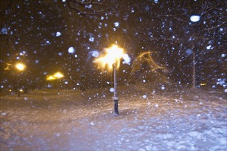 Snowstorm in city park at night. Photo : Johannes Kroemer