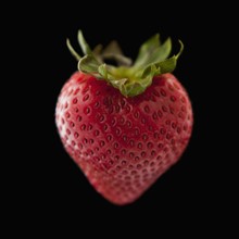 Strawberry on black background. Photo : Mike Kemp