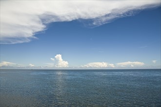 USA, Florida, Miami, Atlantic Ocean. Photo : Johannes Kroemer