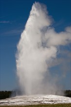 Erupting geyser. Photo : Mike Kemp