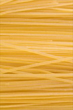 Whole wheat pasta. Photo : David Engelhardt