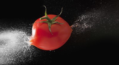 Tomato exploding. Photo : Mike Kemp