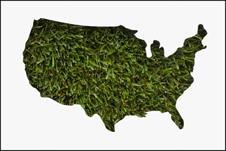 Map made from grass. Photo : Mike Kemp