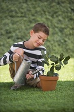 Boy (10-11) watering plant in pot. Photo : Daniel Grill