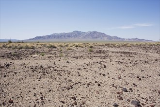 Desert landscape with Funeral Mountain. Photo : Chris Hackett