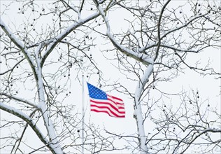 USA, New York, New York City, Snow covered tree branches and American flag.