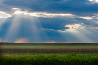 Sunrays shining through clouds over field.