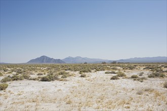 Desert landscape. Photo : Chris Hackett