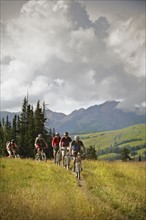 Men mountain biking on trail. Photo : Shawn O'Connor