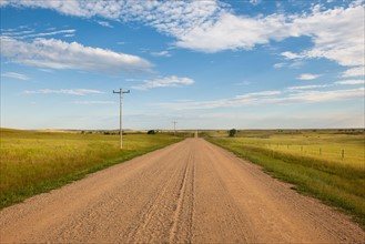 Dirt road crossing prairie.