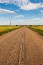 Dirt road crossing prairie.